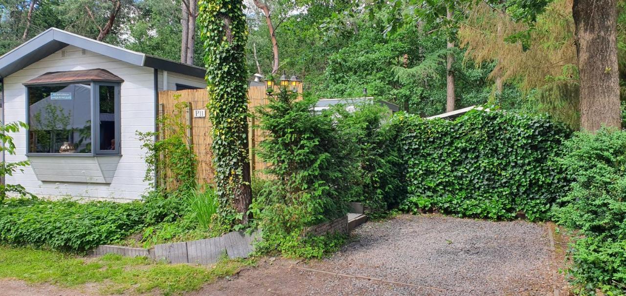 Chalet 11, In Het Bos Doornspijk Kültér fotó